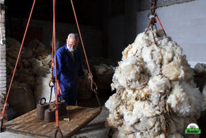 Texeler PuurNatuur Perkal 4 seizoenen 